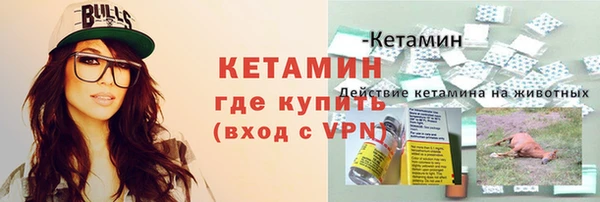PSILOCYBIN Сосновый Бор