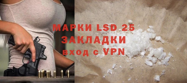 PSILOCYBIN Сосновый Бор