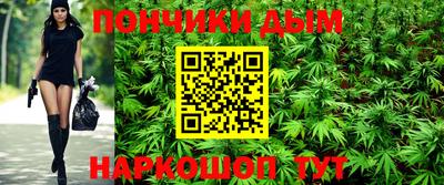 гидра Лесосибирск