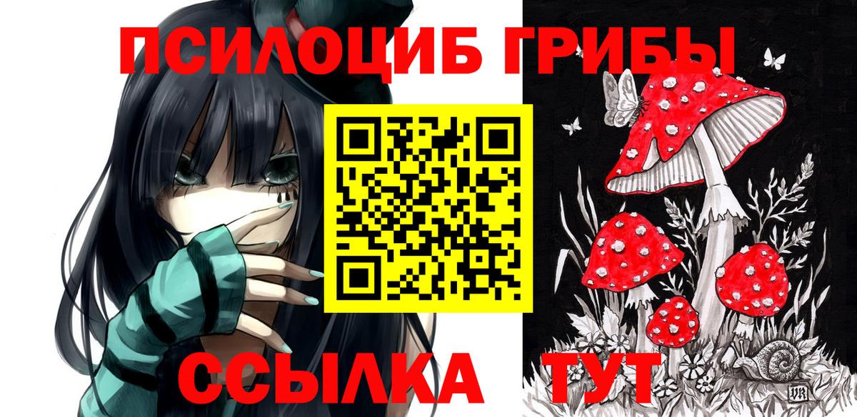 Среднеуральск  Псилоцибиновые грибы Psilocybe  Вход с VPN 